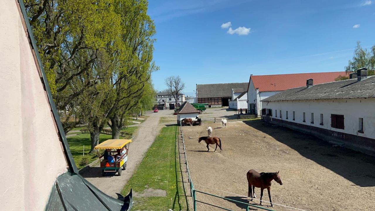 Dworek Bielin Exterior foto